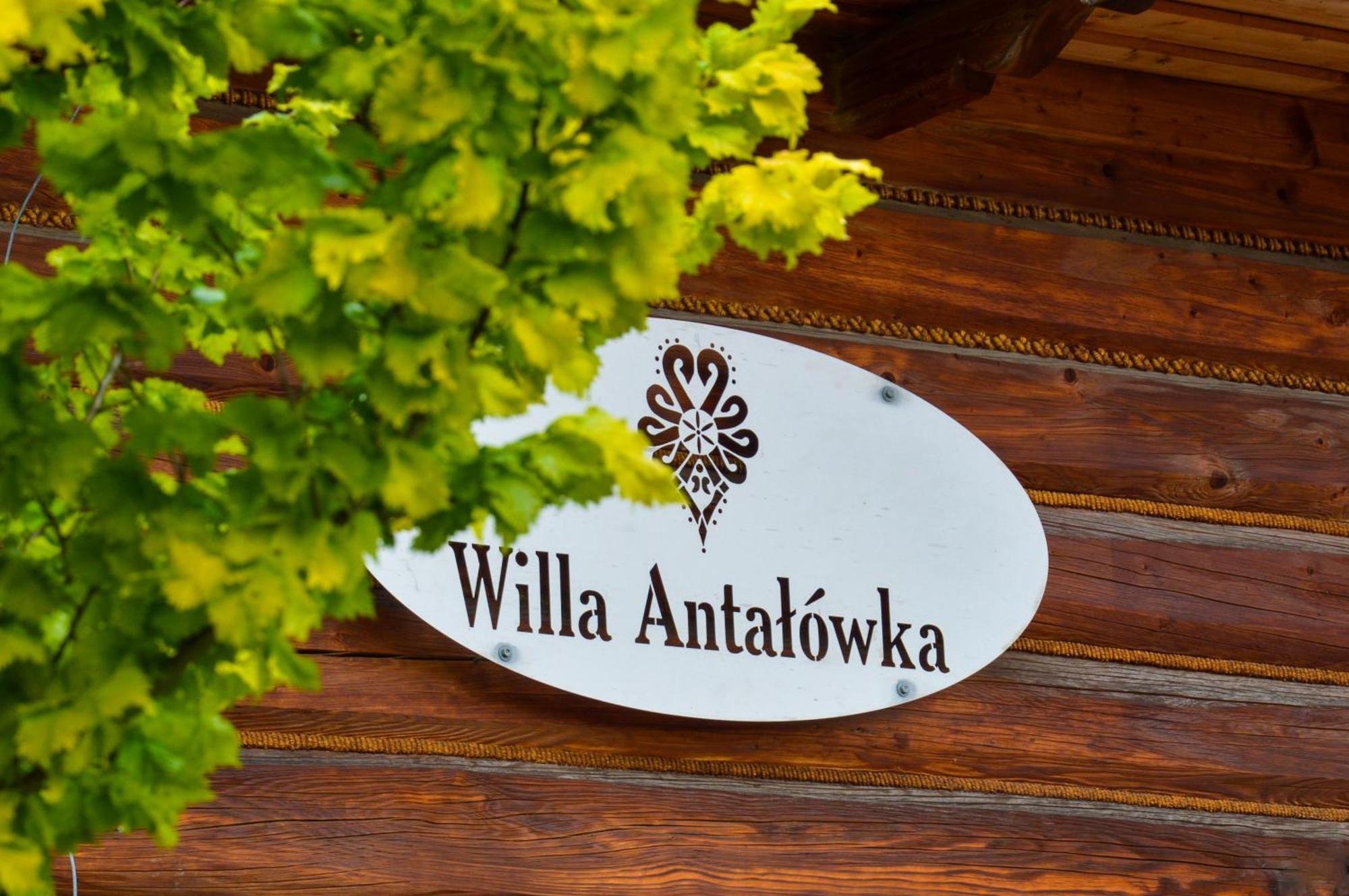 Willa Antalowka Zakopane Kültér fotó